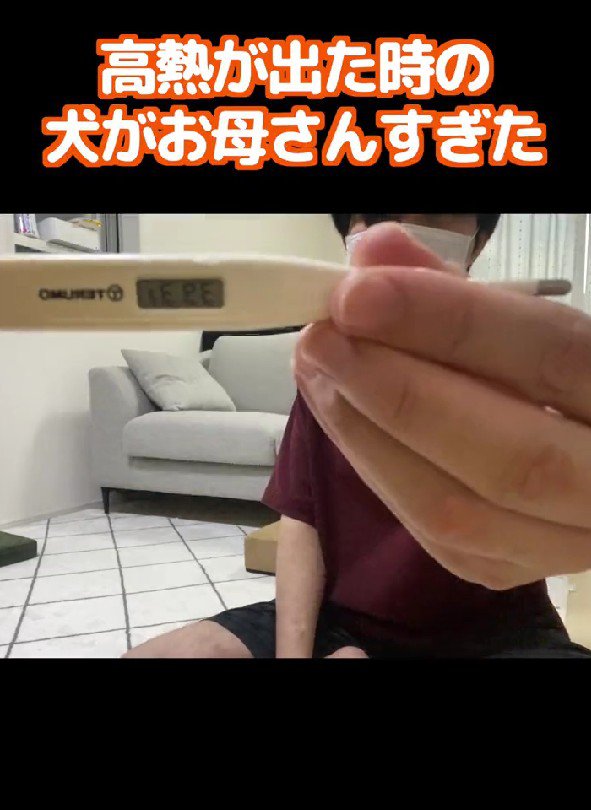 熱が出てしまった！