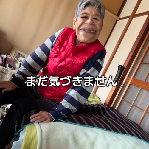 4匹目の存在に気が付かない