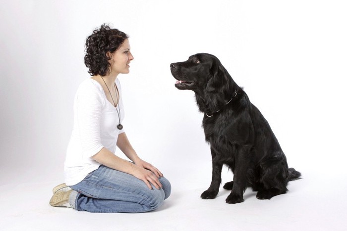 向かい合わせに座る犬と女性