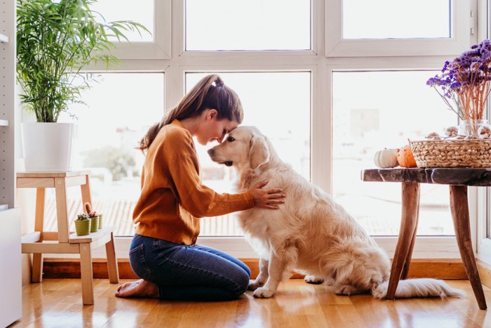 犬とおでこを合わせる女性