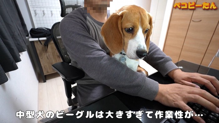 お膝の上にお座り♪