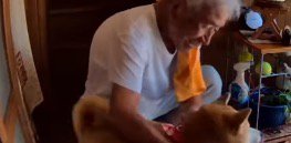 家に向かって歩いてくる老年女性を見つめる犬