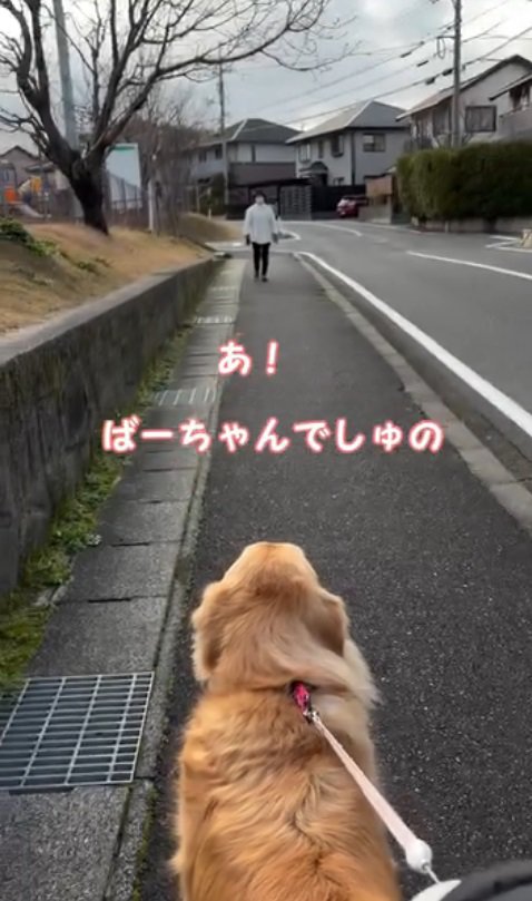 「あそこにいるのはおばあちゃん！」