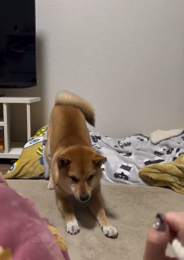 外れた輪ゴム