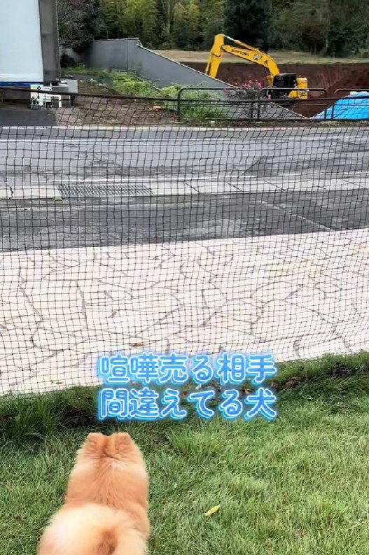 喧嘩相手はショベルカー！！