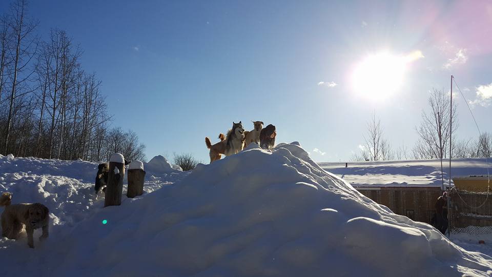 雪山