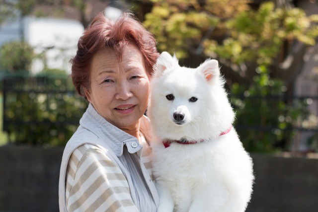 犬を抱っこしている飼い主さん