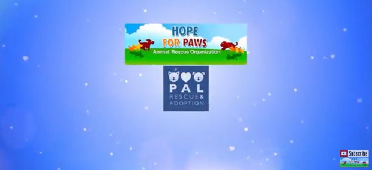 Hope for Paws