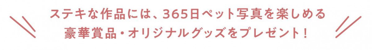 素敵な作品には、365日ペット写真をたのしめる豪華商品・オリジナグッズをプレゼント！