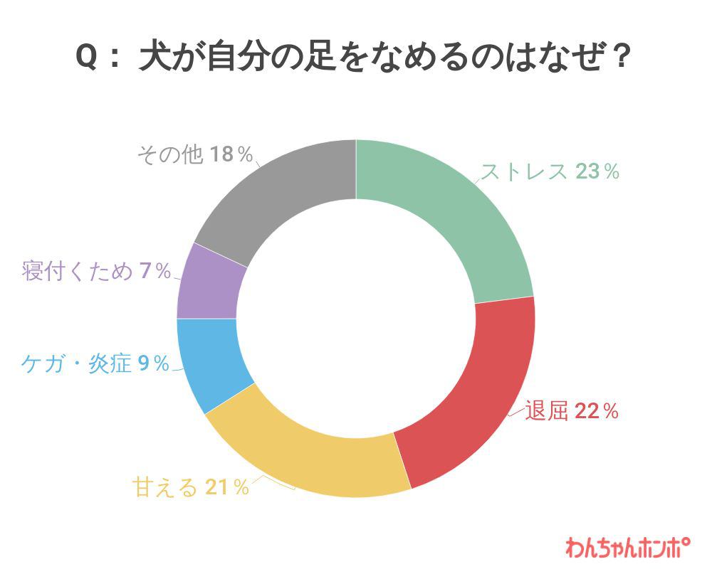 犬が足をなめる理由のアンケート結果
